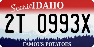 ID license plate 2T0993X