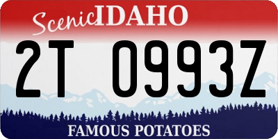 ID license plate 2T0993Z