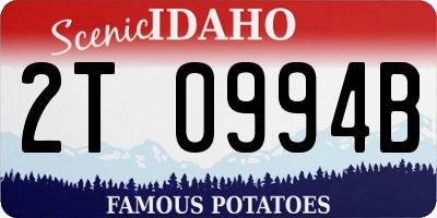ID license plate 2T0994B
