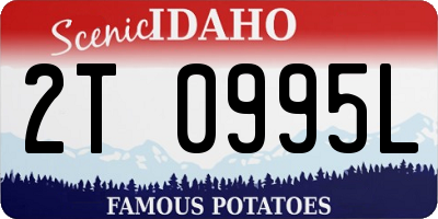 ID license plate 2T0995L