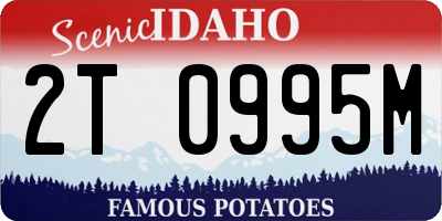 ID license plate 2T0995M