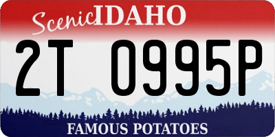 ID license plate 2T0995P