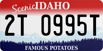 ID license plate 2T0995T