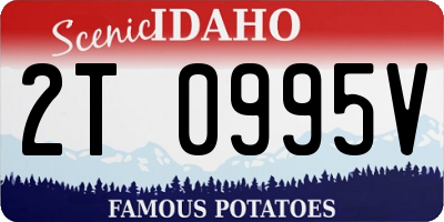 ID license plate 2T0995V
