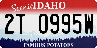 ID license plate 2T0995W