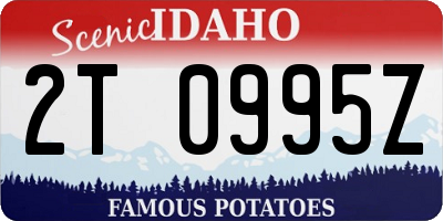 ID license plate 2T0995Z