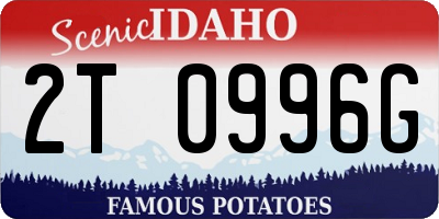 ID license plate 2T0996G