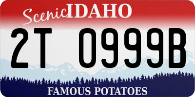 ID license plate 2T0999B