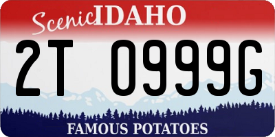 ID license plate 2T0999G