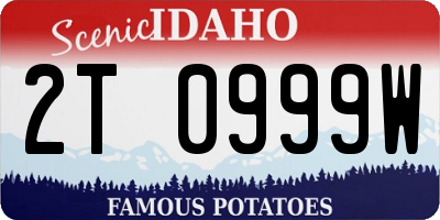 ID license plate 2T0999W