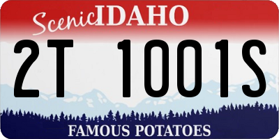 ID license plate 2T1001S