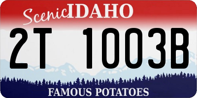 ID license plate 2T1003B