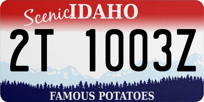 ID license plate 2T1003Z
