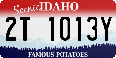 ID license plate 2T1013Y