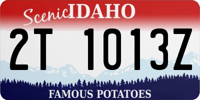 ID license plate 2T1013Z