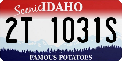 ID license plate 2T1031S