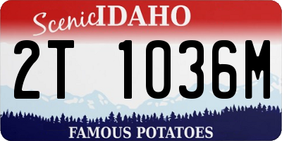 ID license plate 2T1036M