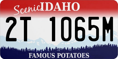 ID license plate 2T1065M