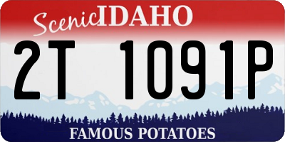 ID license plate 2T1091P
