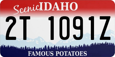 ID license plate 2T1091Z