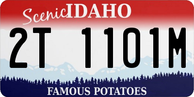ID license plate 2T1101M