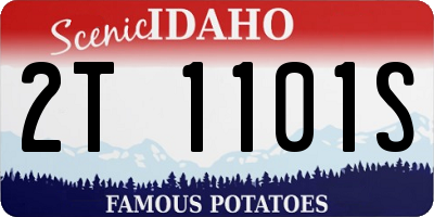ID license plate 2T1101S