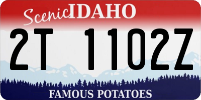 ID license plate 2T1102Z