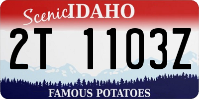 ID license plate 2T1103Z