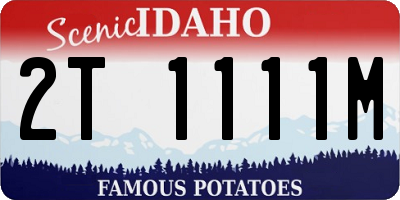 ID license plate 2T1111M