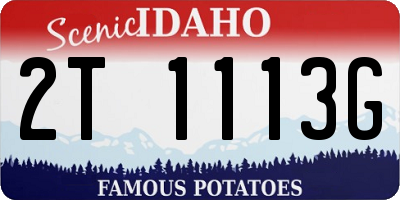 ID license plate 2T1113G