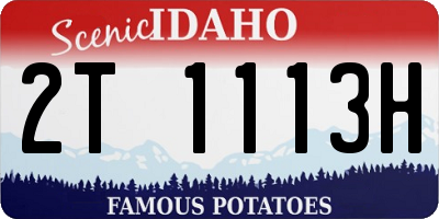 ID license plate 2T1113H