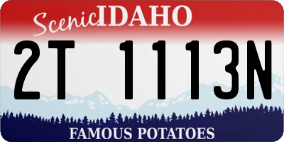 ID license plate 2T1113N