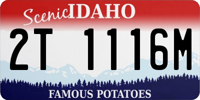 ID license plate 2T1116M