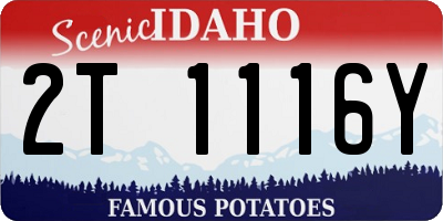 ID license plate 2T1116Y