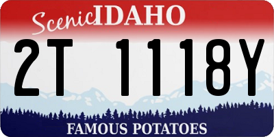 ID license plate 2T1118Y