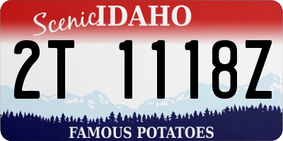 ID license plate 2T1118Z