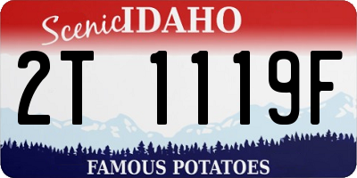 ID license plate 2T1119F
