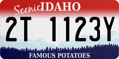 ID license plate 2T1123Y