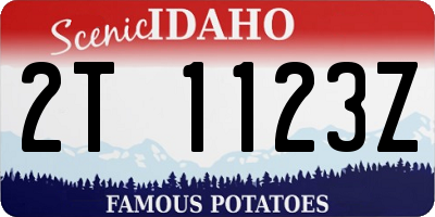 ID license plate 2T1123Z