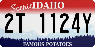 ID license plate 2T1124Y