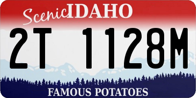 ID license plate 2T1128M