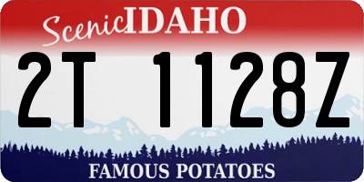 ID license plate 2T1128Z