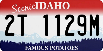 ID license plate 2T1129M