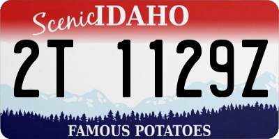 ID license plate 2T1129Z