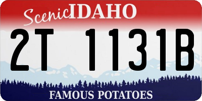 ID license plate 2T1131B