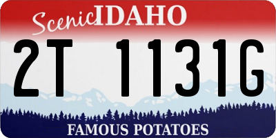ID license plate 2T1131G