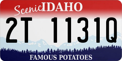 ID license plate 2T1131Q