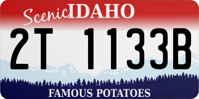 ID license plate 2T1133B
