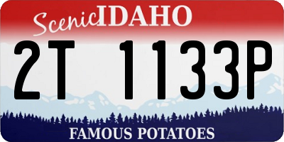 ID license plate 2T1133P