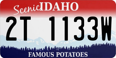 ID license plate 2T1133W